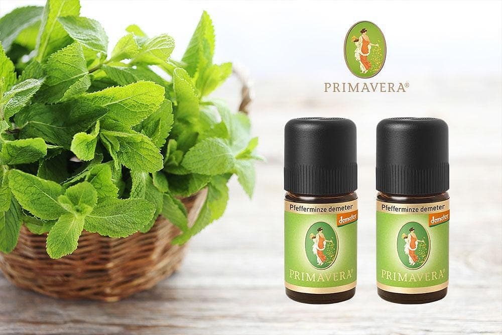 ЕТЕРИЧНО МАСЛО ОТ МЕНТА - ПОЛЗИ И ПРИЛОЖЕНИЯ