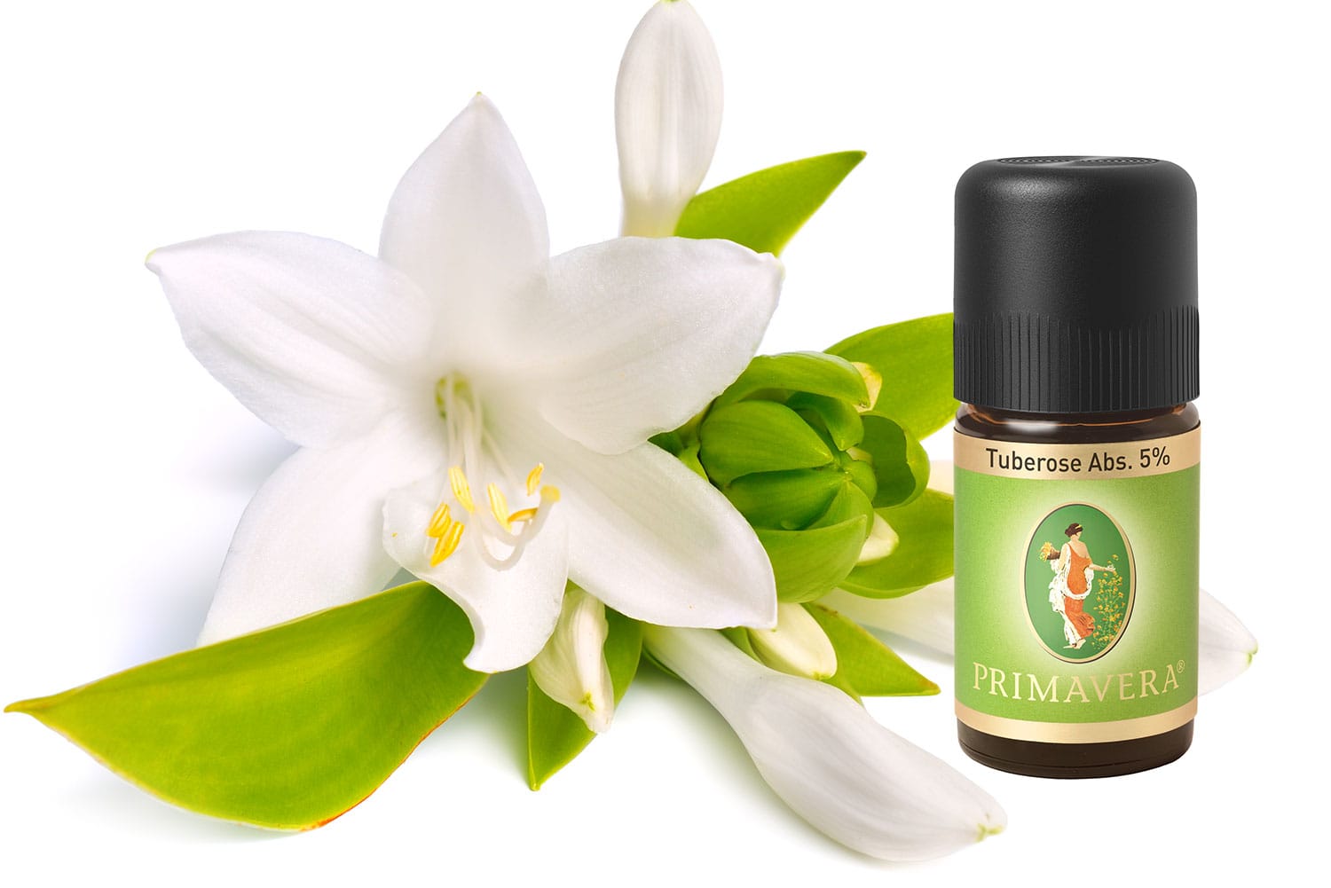 Absolute-oils-Tuberose-Primavera