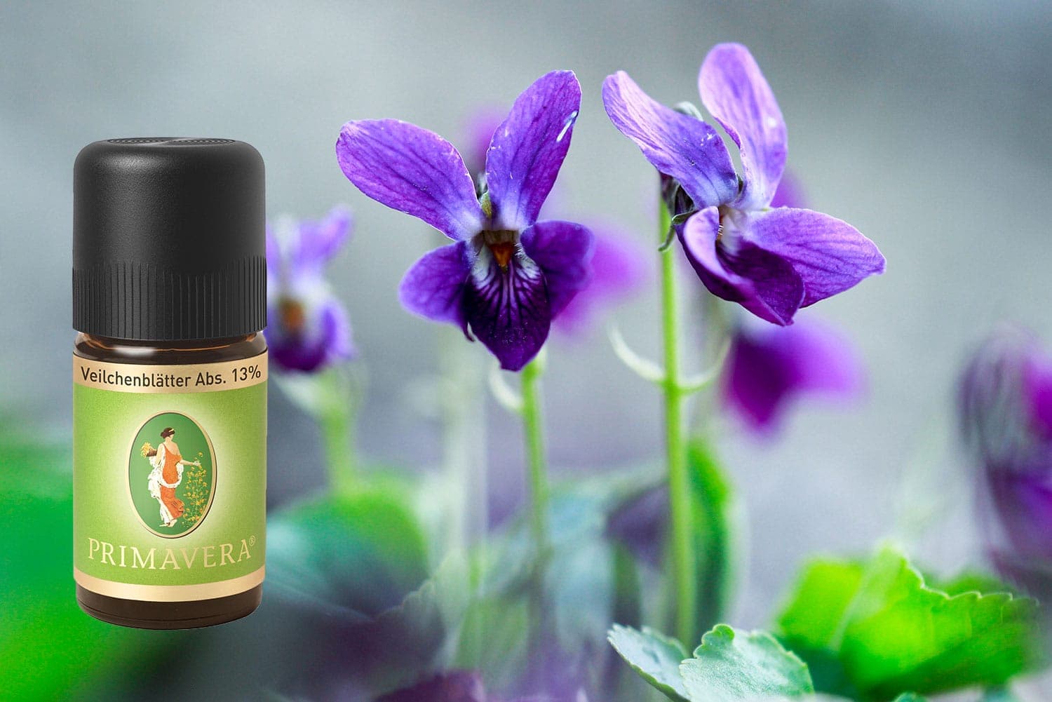 Absolute-oils-Violet-sweet-Primavera