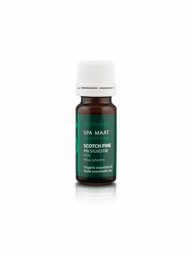 White Pine essential oil 10 ml Ecomaat