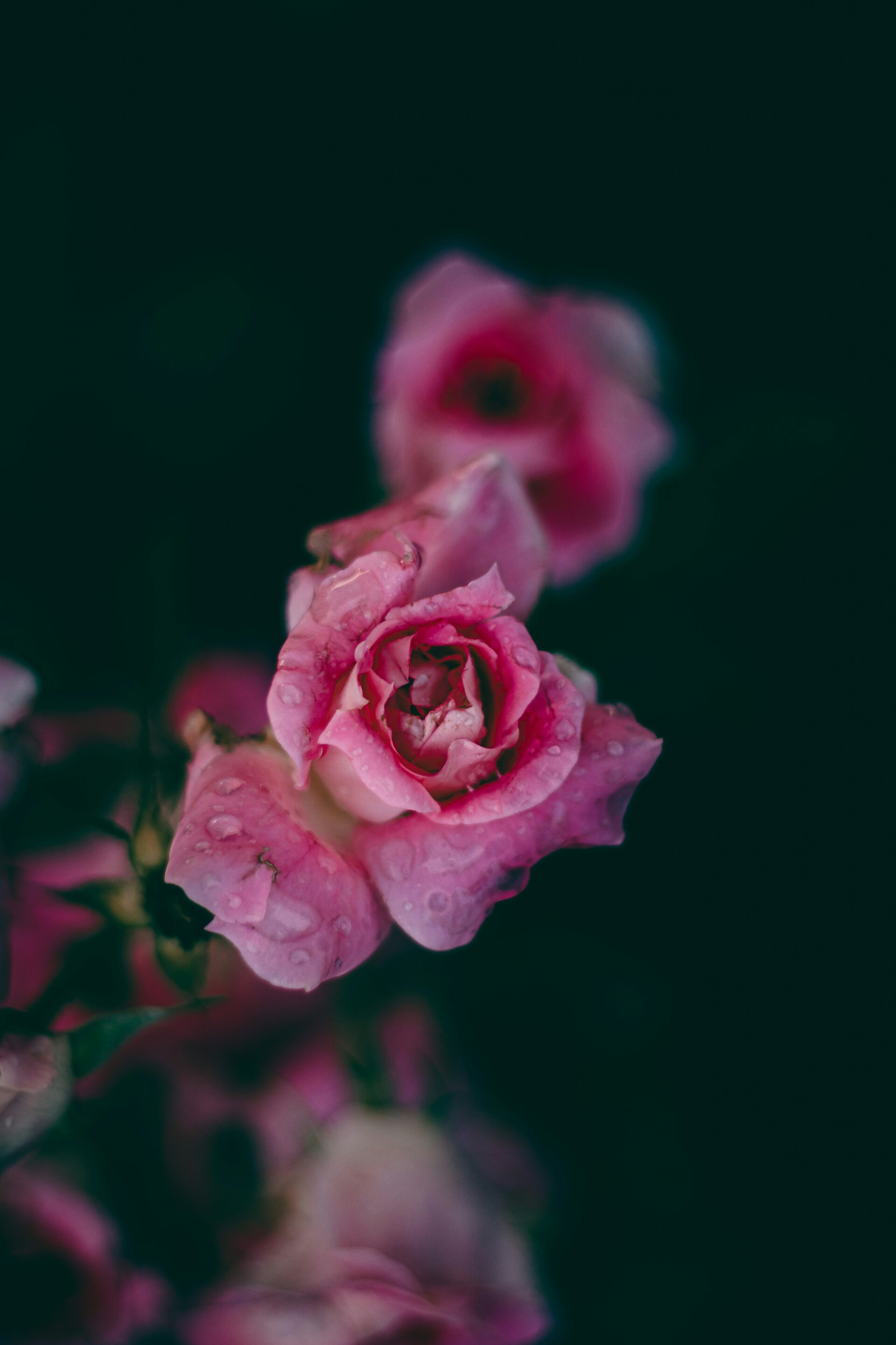 Магазин за етерични масла и натурална козметика satyajit bhowmik 5CQuyG3kJsw unsplash