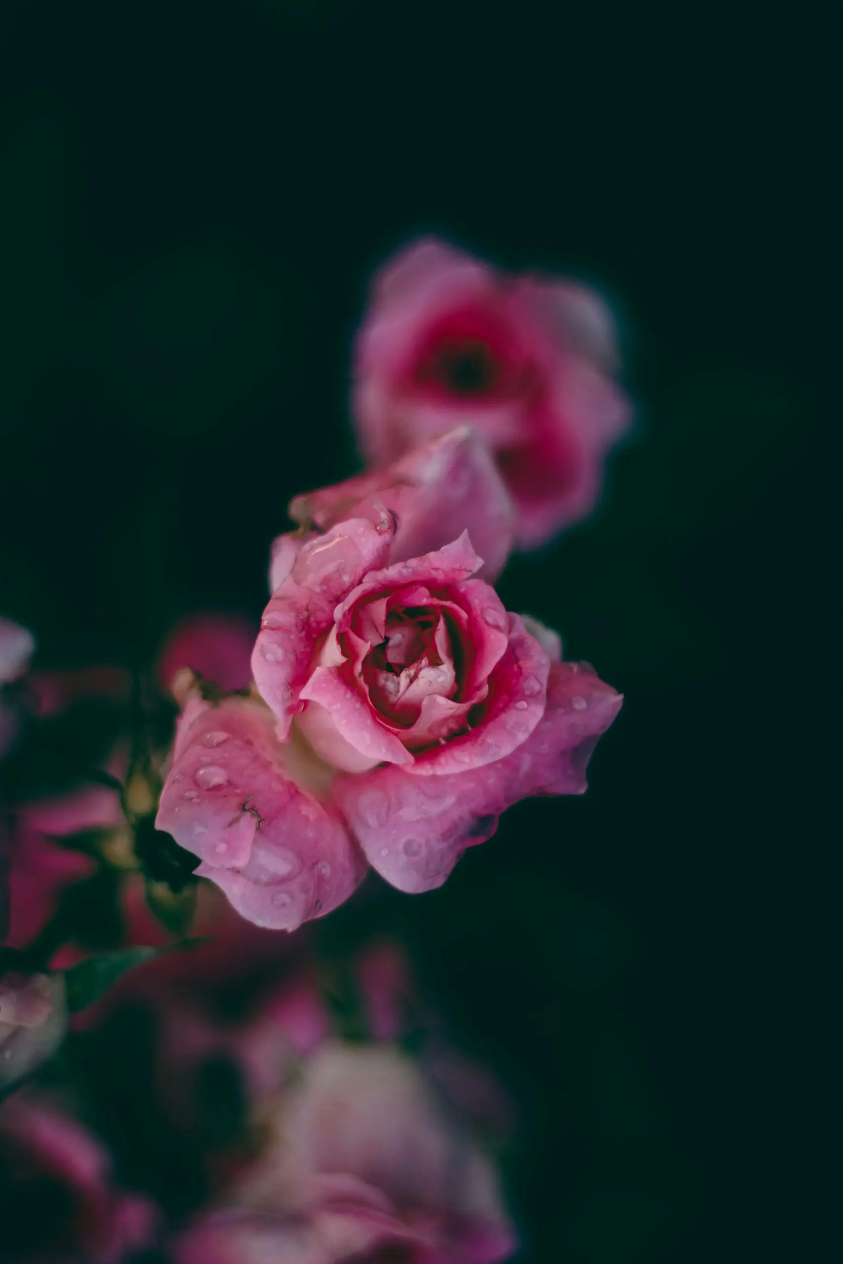 satyajit bhowmik 5CQuyG3kJsw unsplash scaled 1